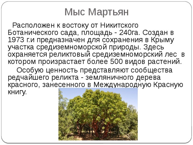 Презентация мыс мартьян