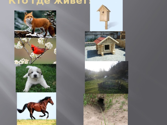 Кто где живет?