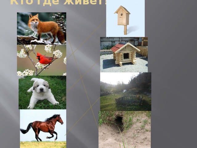 Кто где живет?