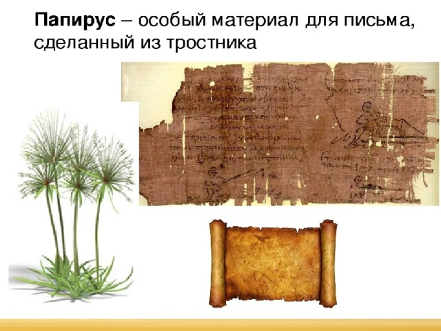 Презентация на тему папирус