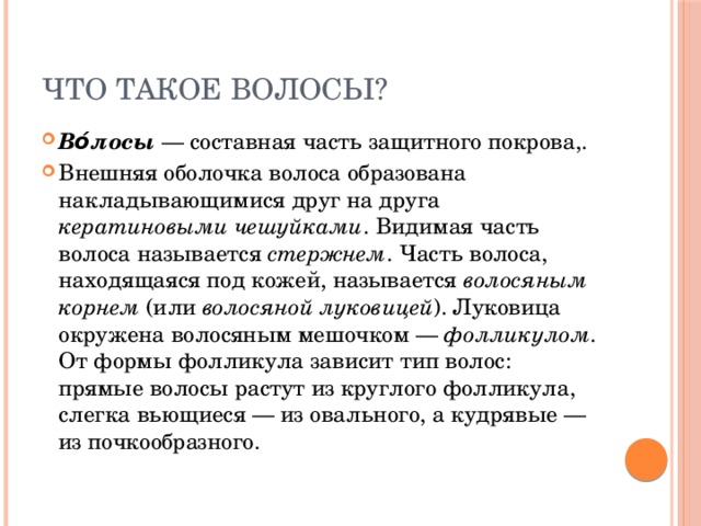 Составная часть презентации называется