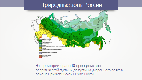Какую территорию россии занимает тайга. Тайга на карте. Зона тайги на карте России. Географическое положение тайги на карте. Географическое положение тайги в России на карте.