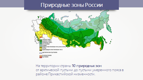 Территория на которой находится зона тайги. Тайга на карте. Зона тайги на карте России. Географическое положение тайги на карте. Географическое положение тайги в России на карте.