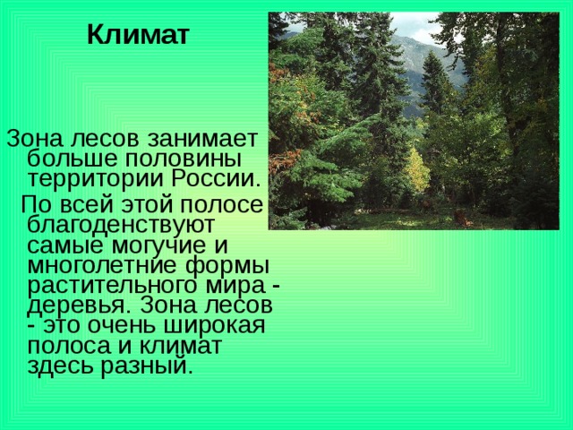 Климат Зона лесов занимает больше половины территории России.  По всей этой полосе благоденствуют самые могучие и многолетние формы растительного мира - деревья. Зона лесов - это очень широкая полоса и климат здесь разный. 