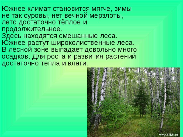 Описание природной зоны смешанные и широколиственные леса по плану 7 класс