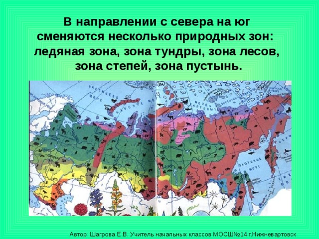 Природные зоны россии 4 класс окружающий мир конспект урока и презентация