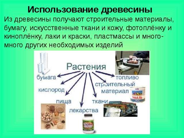 Использование древесины Из древесины получают строительные материалы, бумагу, искусственные ткани и кожу, фотоплёнку и киноплёнку, лаки и краски, пластмассы и много-много других необходимых изделий 