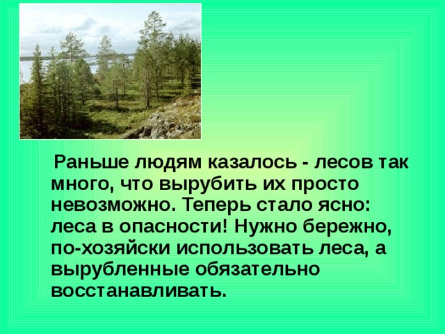 4 лесных зон. Лесные зоны окружающий мир. Сообщение на тему зона лесов 4 класс.