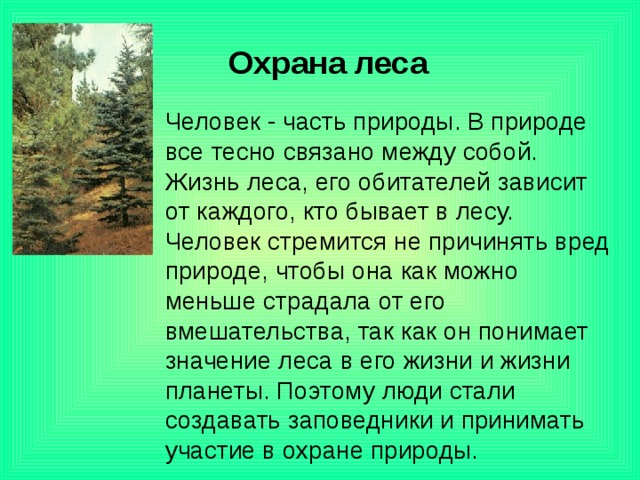  Охрана леса   Человек - часть природы. В природе все тесно связано между собой. Жизнь леса, его обитателей зависит от каждого, кто бывает в лесу. Человек стремится не причинять вред природе, чтобы она как можно меньше страдала от его вмешательства, так как он понимает значение леса в его жизни и жизни планеты. Поэтому люди стали создавать заповедники и принимать участие в охране природы. 