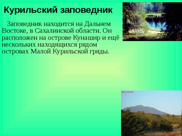 Курильский заповедник  Заповедник находится на Дальнем Востоке, в Сахалинской области. Он расположен на острове Кунашир и ещё нескольких находящихся рядом островах Малой Курильской гряды. 