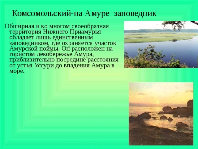 Комсомольский-на Амуре  заповедник   Обширная и во многом своеобразная территория Нижнего Приамурья обладает лишь единственным заповедником, где охраняется участок Амурской поймы. Он расположен на гористом левобережье Амура, приблизительно посредине расстояния от устья Уссури до впадения Амура в море. 