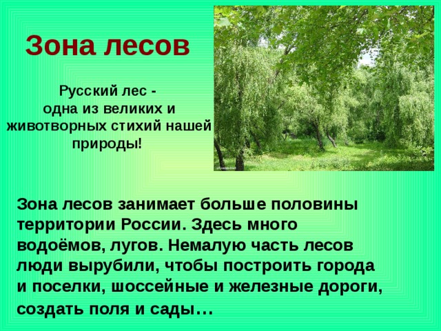Зона лесов Русский лес - одна из великих и животворных стихий нашей природы! Зона лесов занимает больше половины территории России. Здесь много водоёмов, лугов. Немалую часть лесов люди вырубили, чтобы построить города и поселки, шоссейные и железные дороги, создать поля и сады … 