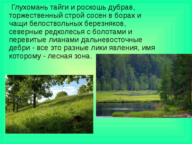  Глухомань тайги и роскошь дубрав, торжественный строй сосен в борах и чащи белоствольных березняков, северные редколесья с болотами и перевитые лианами дальневосточные дебри - все это разные лики явления, имя которому - лесная зона. 