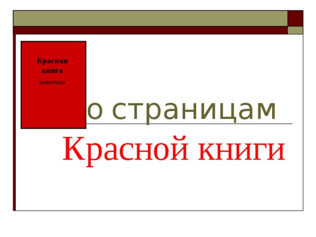 По  страницам   Красной книги Красная книга животные 