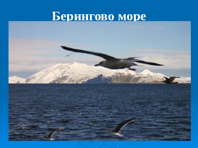 Берингово море   