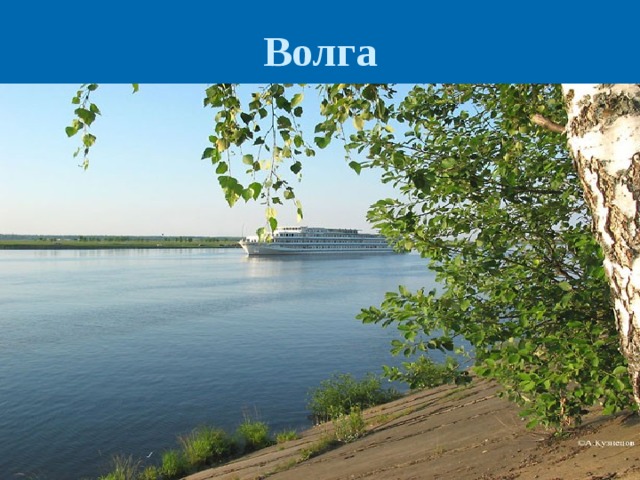 Волга 