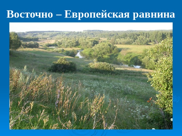 Восточно – Европейская равнина 