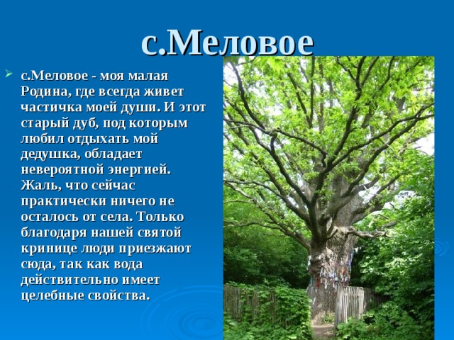 с.Меловое с.Меловое - моя малая Родина, где всегда живет частичка моей души. И этот старый дуб, под которым любил отдыхать мой дедушка, обладает невероятной энергией. Жаль, что сейчас практически ничего не осталось от села. Только благодаря нашей святой кринице люди приезжают сюда, так как вода действительно имеет целебные свойства. 