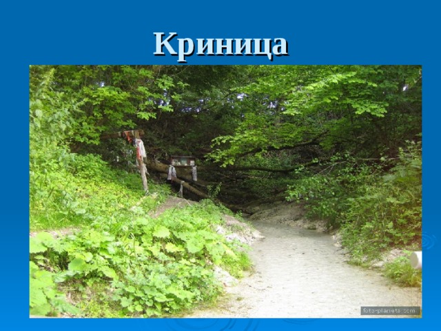 Криница 