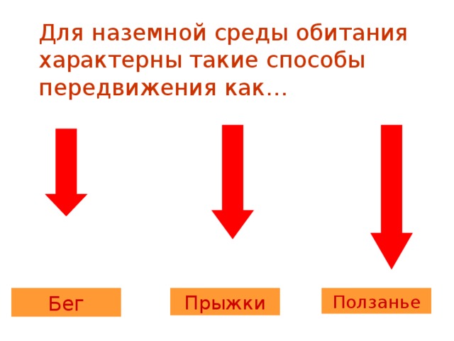 Какое значение имело движение