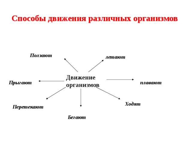 Способ передвижения группы