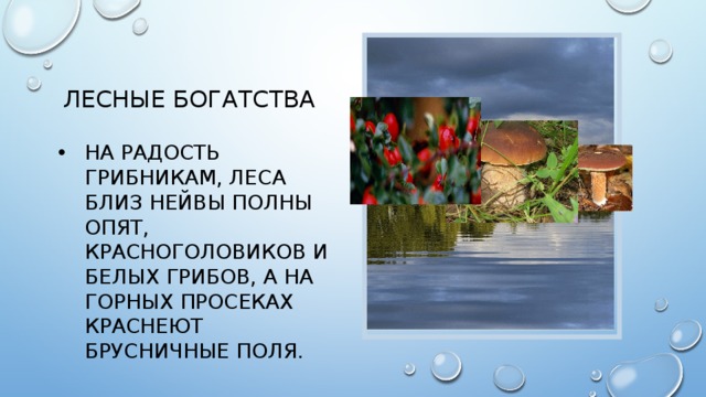 Расстояние между нижней и верхней полками в поезде