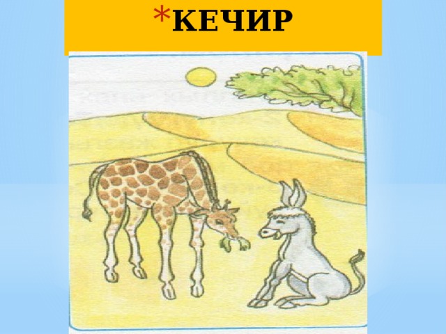 КЕЧИР 