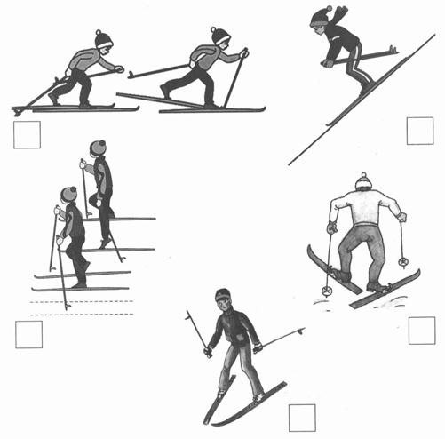 Тест по лыжному спорту. Задания по лыжной подготовке. Лыжная подготовка. Урок физкультуры на лыжах. Тест по физкультуре лыжная подготовка.