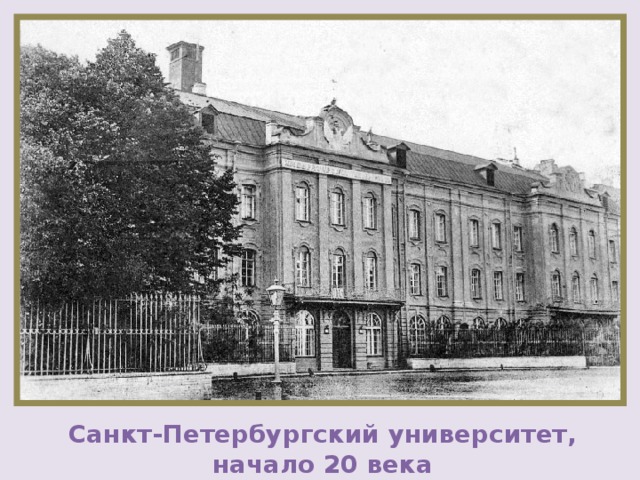 Санкт-Петербургский университет, начало 20 века 