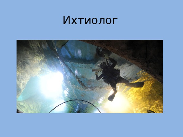 "Все профессии важны"