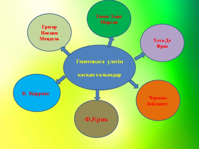 Томас Хант Морган Грегор Иоганн Мендель Хуго Де Фриз Генетикаға үлесін қосқан ғалымдар К . Корренс Чермак‑ Зейзенегг  Ф.Крик 