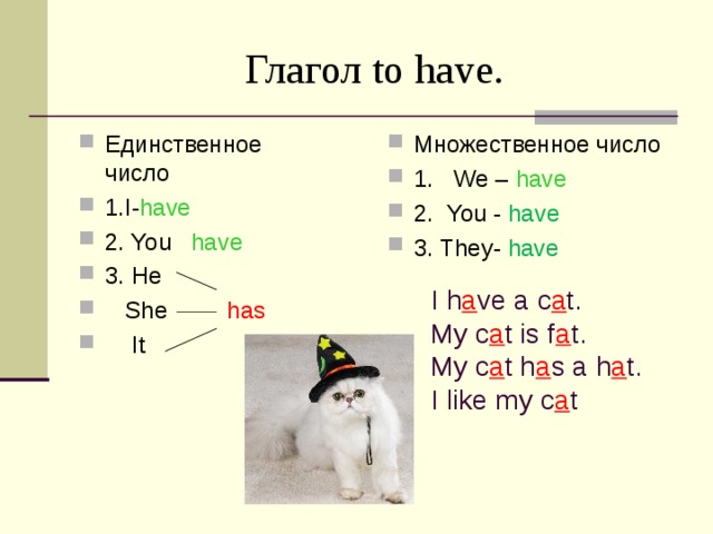 Запиши форму глагола множественного числа. Глагол во множественном числе в английском. Множественное число глаголов в английском языке. Правило английского языка have got/has множественное число. Глаголы в единственном и множественном числе в английском языке.