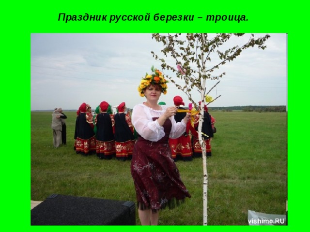 Праздник русской березки – троица. 
