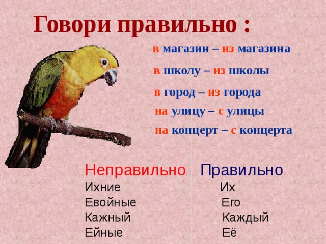 Их или ихний