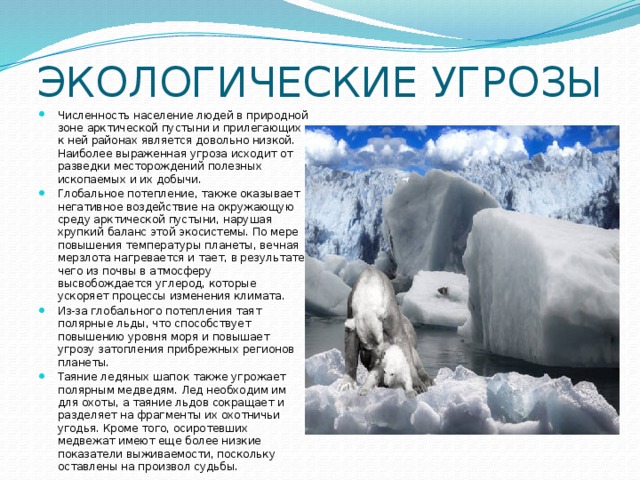 Охрана природы арктических пустынь. Арктические пустыни и человек доклад. Занятия людей в зоне арктических пустынь. Арктика и человек презентация. Арктические и антарктические пустыни проблемы.