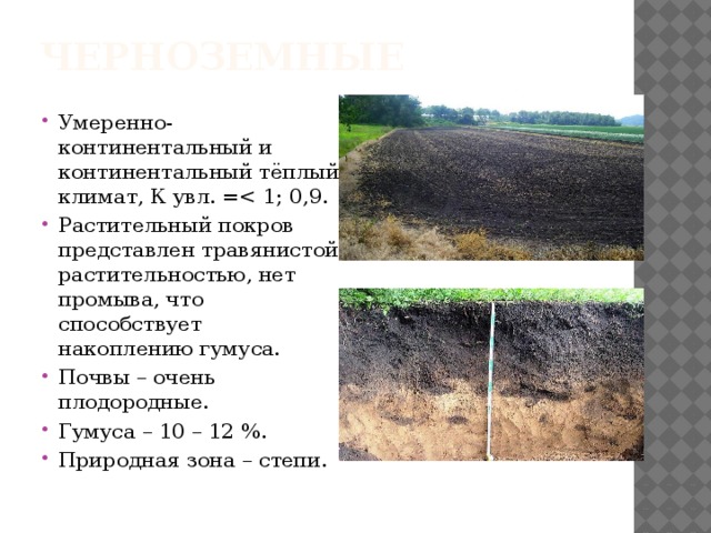 Для какой природной зоны характерны черноземы почвы. Чернозём природная зона.