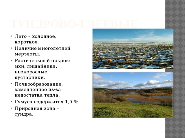 Содержание гумуса в тундровой глеевой почве. Тундра глеевые почвы природная зона. Глеевые почвы природная зона. Тундрово-глеевые почвы природная зона в России. Природная зона тундрово глеевой почвы.