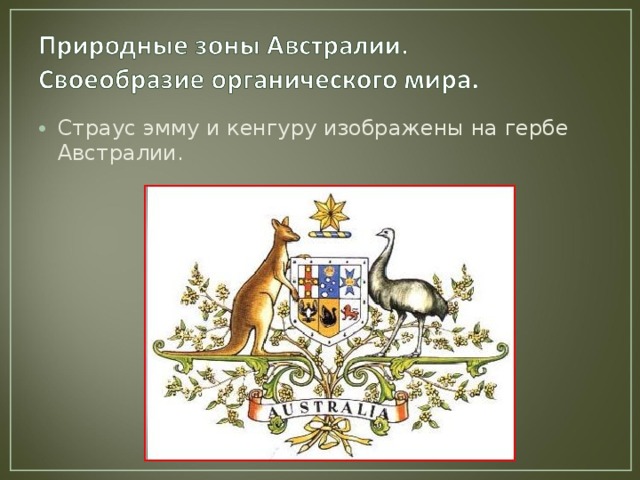 Страус эмму и кенгуру изображены на гербе Австралии. 