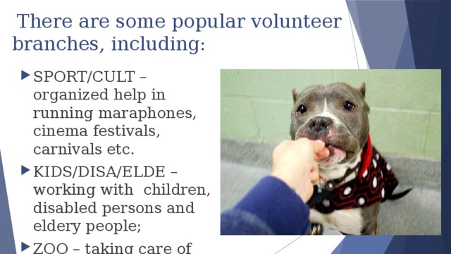  There are some popular volunteer branches, including: SPORT/CULT – organized help in running maraphones, cinema festivals, carnivals etc. KIDS/DISA/ELDE – working with children, disabled persons and eldery people; ZOO – taking care of animals; 