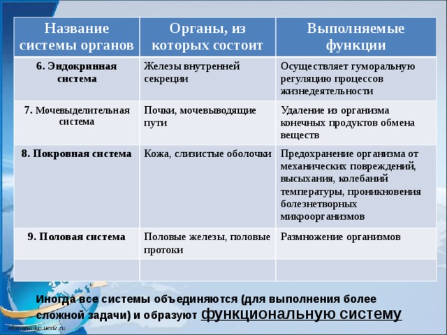 Урок по окружающему миру "Организм человека"