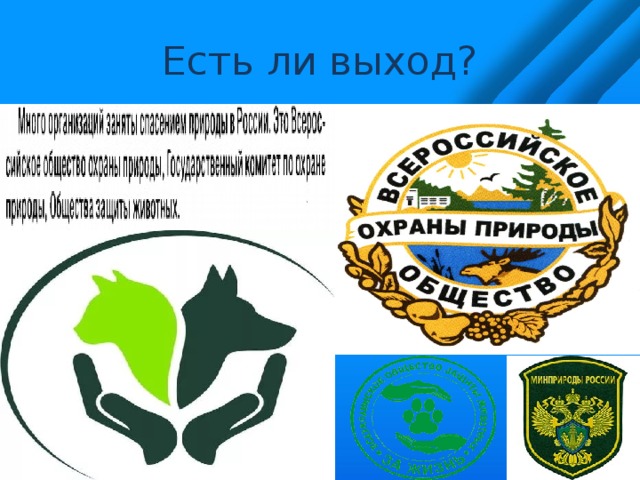 Охрана природы значит охранять жизнь презентация 7 класс