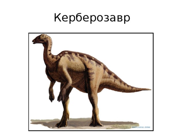 Керберозавр 