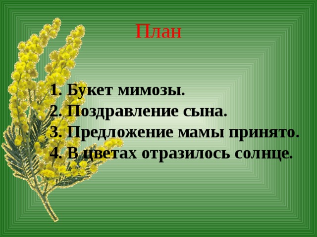 Звезда мимоза презентация
