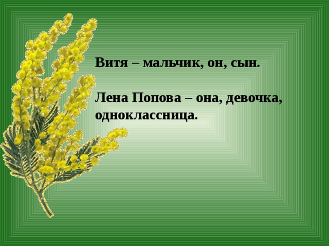 План рассказа три ветки мимозы