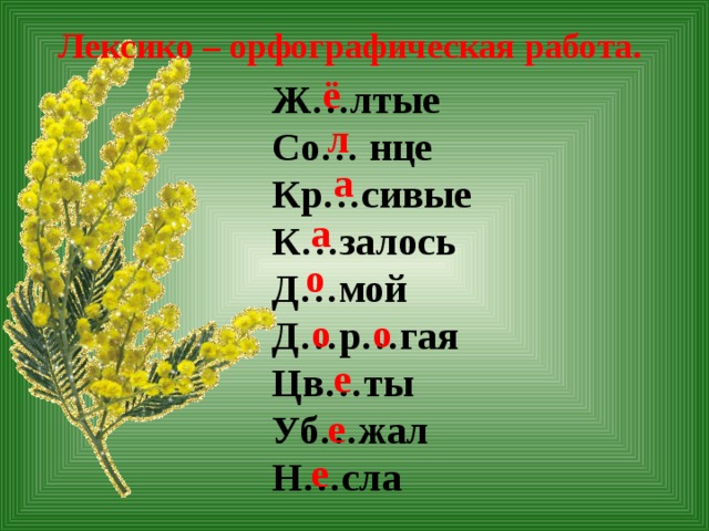 План рассказа три ветки мимозы