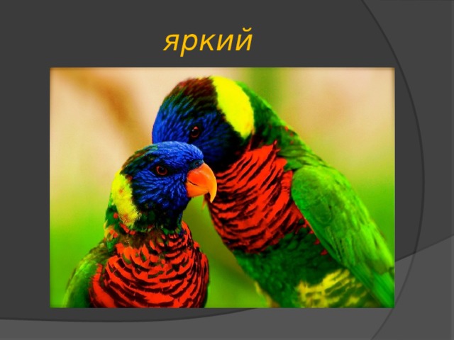 яркий 