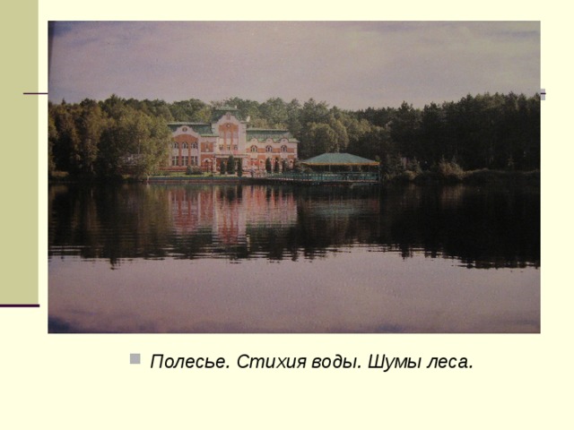 Полесье. Стихия воды. Шумы леса.
