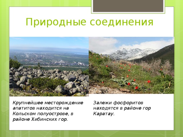 Природные соединения Крупнейшее месторождение апатитов находится на Кольском полуострове, в районе Хибинских гор. Залежи фосфоритов находятся в районе гор Каратау .  