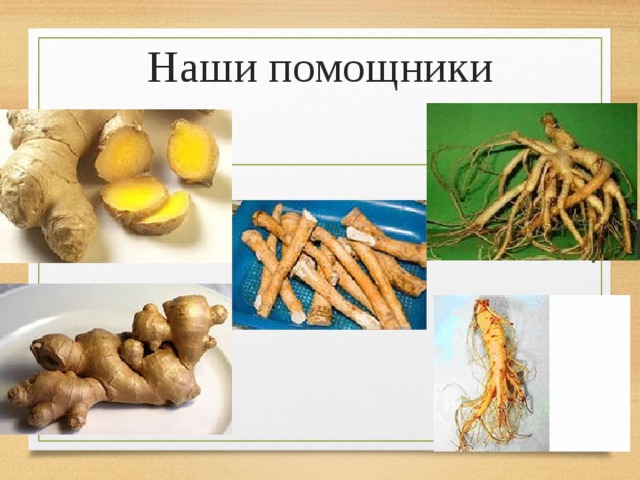 Наши помощники