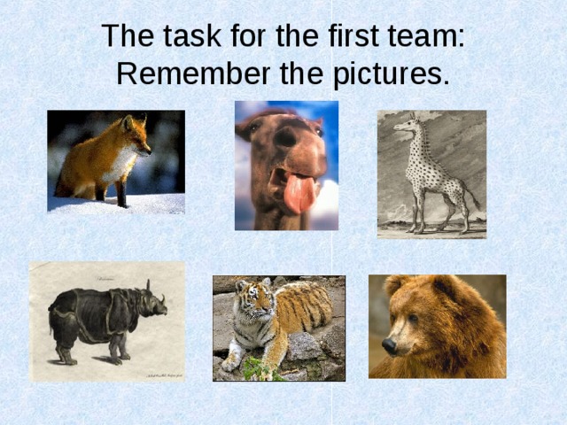 The task for the first team: Remember the pictures. 